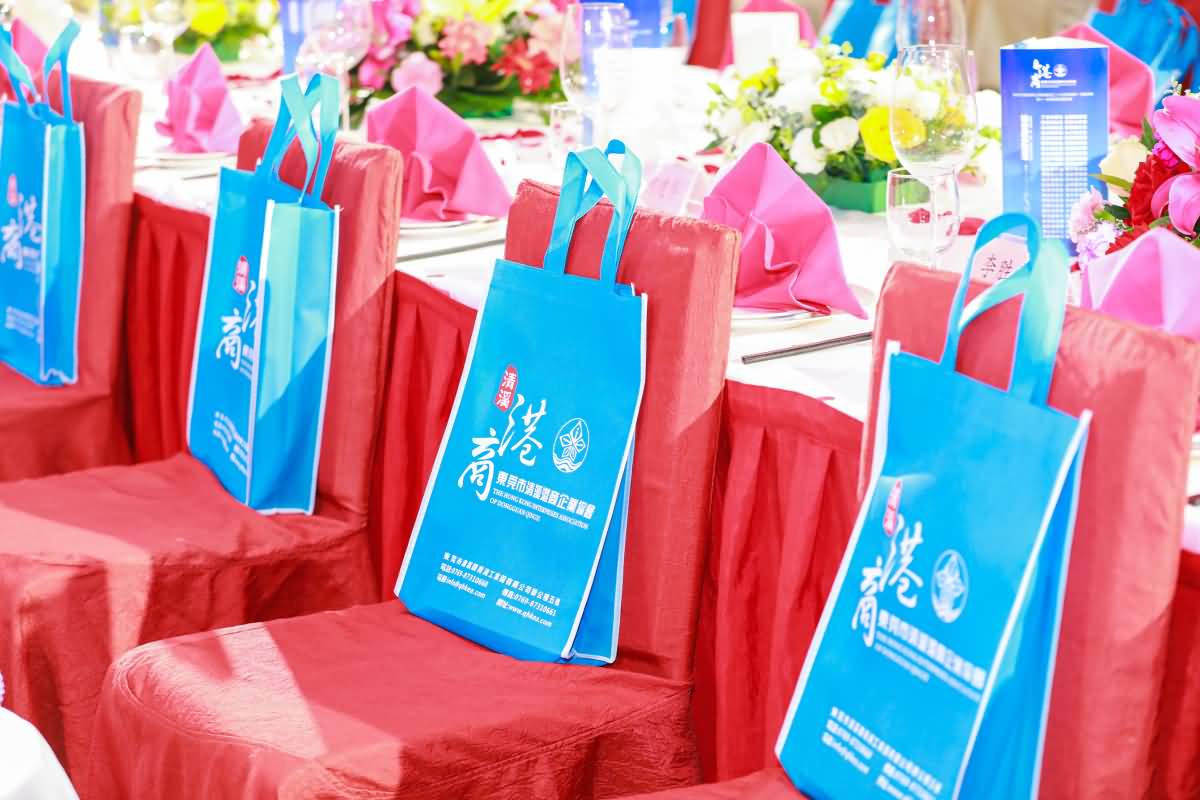 東莞市港商企業(yè)協(xié)會成立二十五周年暨第一屆監(jiān)事會、第十一屆理事會就職典禮(圖10)