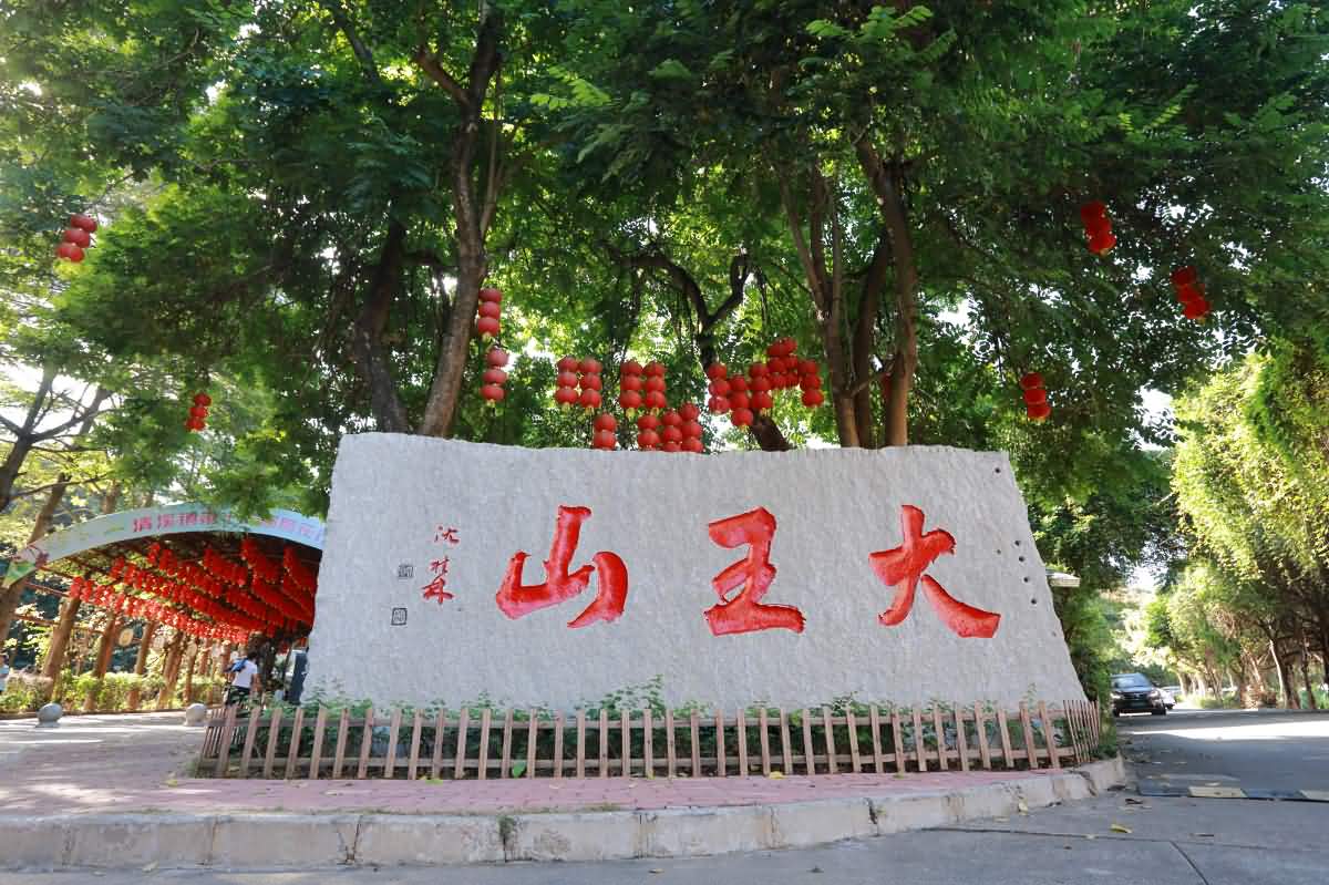 林長(zhǎng)綠美園大王山趣味定向越野登山活動(dòng)(圖10)