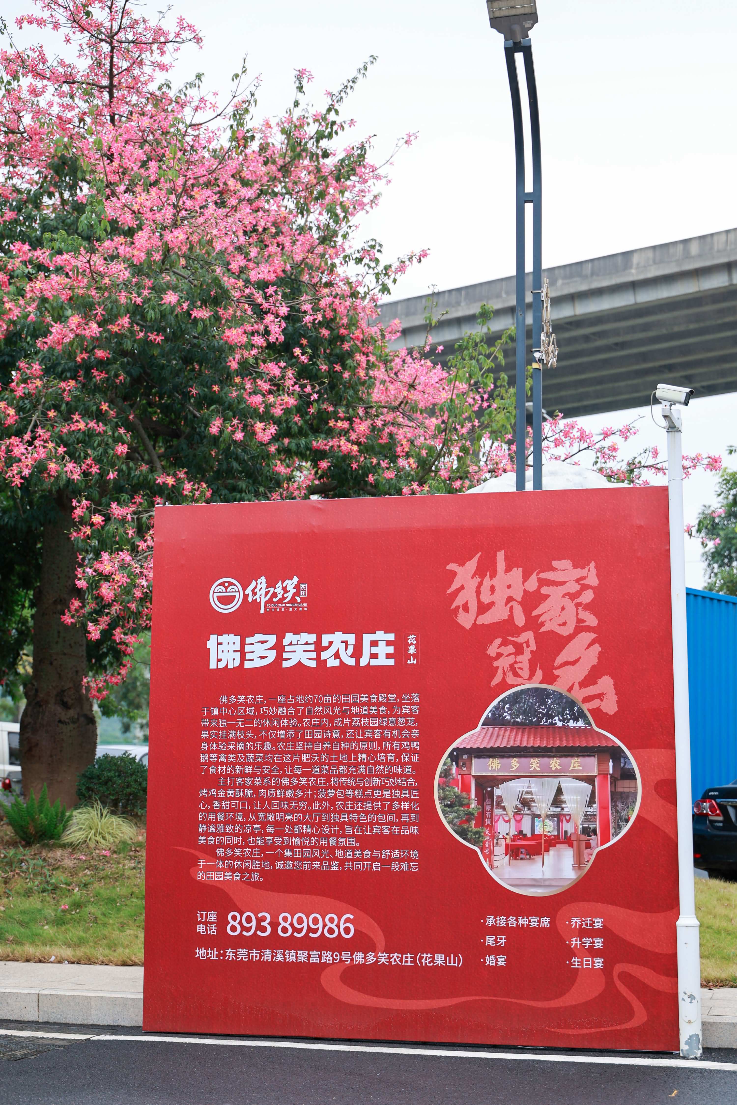 百鵝威宴尋味客家2024清溪鎮(zhèn)第二屆客家“燜年鵝”現(xiàn)場烹飪活動(圖1)